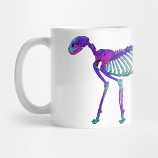Cat Skeleton Diaphonized Specimen Mug